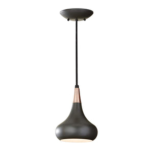 Feiss Pendant from the Beso range. Beso 1 Light Mini Pendant Product Code = FE-BESO-P-S-DBZ
