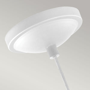 Feiss Pendant from the Brynne range. Brynne 1 Light Medium LED Pendant - Polished Nickel Product Code = FE-BRYNNE-P-FWH