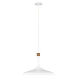 Feiss Pendant from the Darwin range. Darwin 1 Light Pendant  Product Code = FE-DARWIN-P