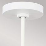Feiss Pendant from the Darwin range. Darwin 1 Light Pendant  Product Code = FE-DARWIN-P