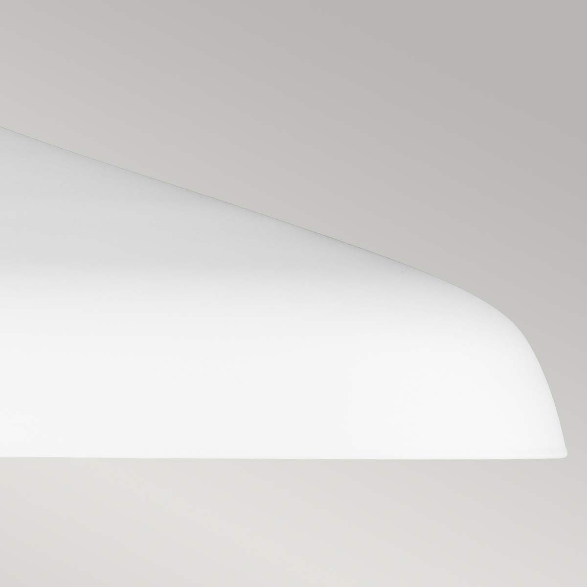 Feiss Pendant from the Darwin range. Darwin 1 Light Pendant  Product Code = FE-DARWIN-P