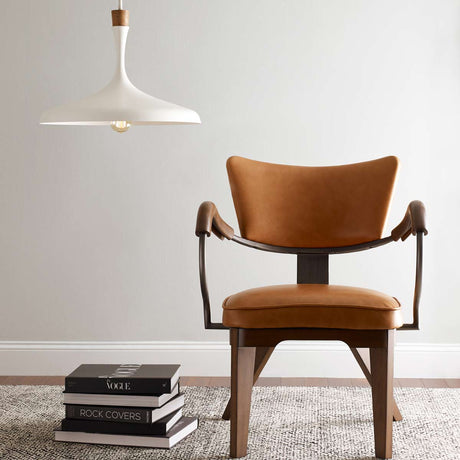 Feiss Pendant from the Darwin range. Darwin 1 Light Pendant  Product Code = FE-DARWIN-P