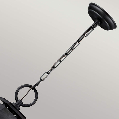 Feiss Outdoor Hanging from the Shepherd range. Shepherd 1 Light Large Chain Lantern Product Code = FE-SHEPHERD-8L