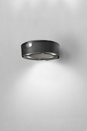 Magnalux Fiorina 2W 560mm Bollard Spike/ Ground Grey Solar PIR CCT Part Number - FIORINAGY