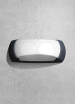 Magnalux Francy Up/Down 6W LED Black Part Number - FRANCYBL.