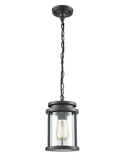 Franklite - EXT6622 - Pendant