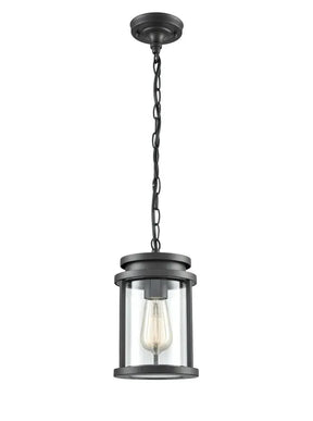 Franklite - EXT6622 - Pendant