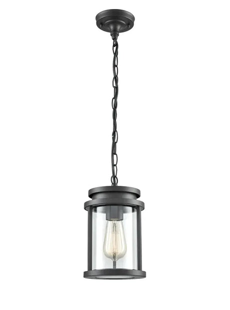 Franklite - EXT6622 - Pendant