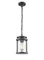 Franklite - EXT6622 - Pendant
