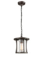 Franklite - EXT6626 - Pendant