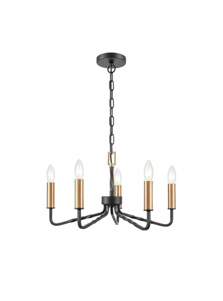 Franklite - FL2455-5 - Pendant