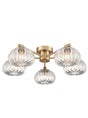 Franklite - FL2473-5 - Ceiling / Wall
