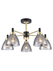 Franklite - FL2482-5 - Ceiling / Wall