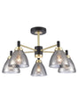 Franklite - FL2482-5 - Ceiling / Wall