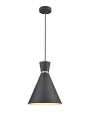 Franklite - PCH214 - Pendant