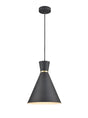 Franklite - PCH214 - Pendant