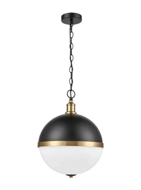 Franklite - PCH221 - Pendant