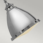 Hinkley Pendant from the Amelia range. Amelia 1 Light Medium Pendant  Product Code = HK-AMELIA-P-M-PN