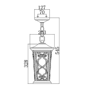 Hinkley Outdoor Hanging from the Enzo range. Enzo 1 Light Small Chain Lantern Product Code = HK-ENZO8-S
