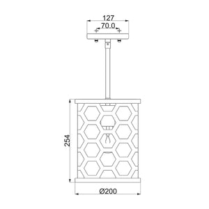 Hinkley Pendant from the Felix range. Felix 1 Light Mini Pendant Product Code = HK-FELIX-MP