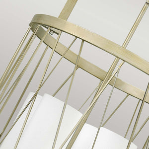 Hinkley Chandelier from the Nest range. Nest 4 Light Pendant Chandelier Product Code = HK-NEST-P-C-SL