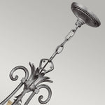 Hinkley Chandelier from the Plantation range. Plantation 10 Light Chandelier Product Code = HK-PLANT10-PL