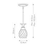 Hinkley Plantation 1 Light Pendant – SKU HK-PLANTATION-MP-BB