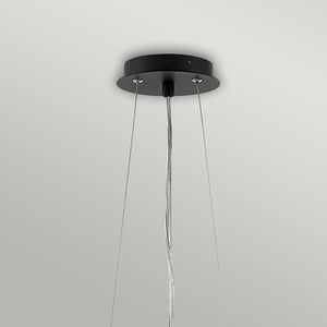 Hinkley/ Fredrick Ramond Pendant from the Zuma range. Zuma 6 Light Pendant Product Code = HK-ZUMA6-SBG