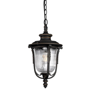 Kichler Luverne 1 Light Medium Chain Lantern KL-LUVERNE8-M
