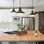 Quoizel Pendant from the Emery range. Emery 1 Light Medium Pendant Product Code = QZ-EMERY-P-M-PN