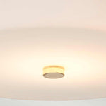 Elstead Lighting  Ceiling Flush from the Tamar range. Tamar 1 Light Medium Flush Product Code = TAMAR-F-M-PG