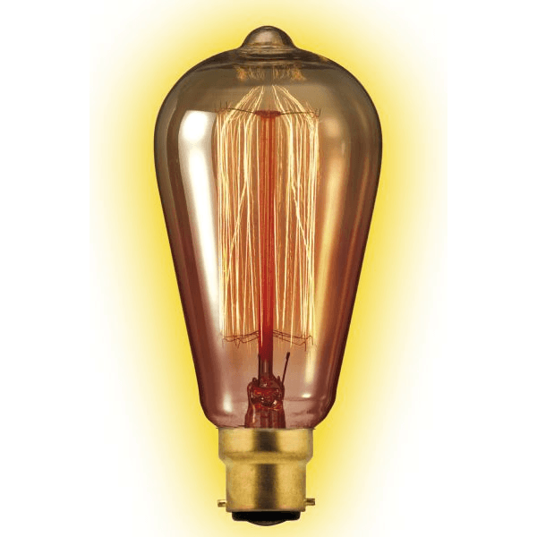 Calex Squirrel Cage SQUIRREL CAGE Goldline-filament 240V 40W B22 Rustic 64x142 Part Number = 442064 - First Light Direct - LED Lamps and Lighting 