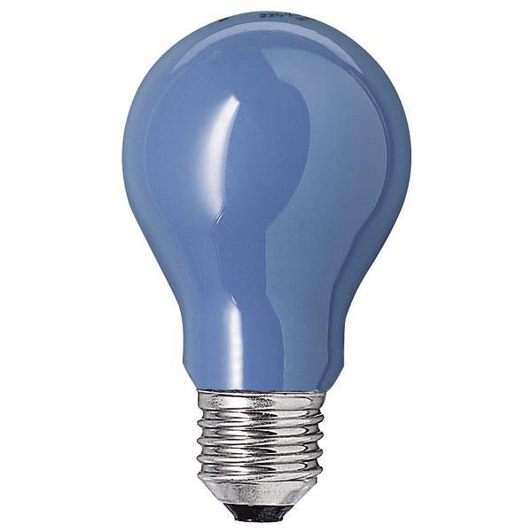 Currently Unassigned 40W E27 Edison Screwed Cap 110V BLUE - First Light Direct - LED Lamps and Lighting 