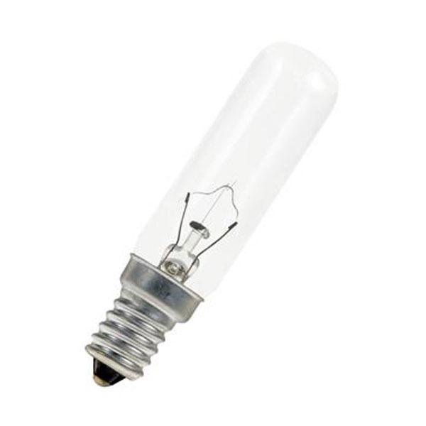 Plain White Box FL-CP-15SET/SES24 VEZ - Currently Unassigned 24V 15W E14 Small Edison Screwed Cap 20X85