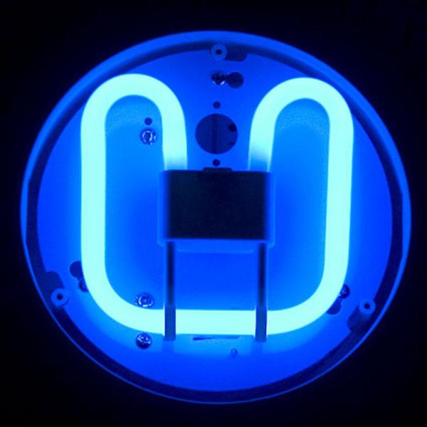 Plain White Box FL-CP-2D16/BLUE/4P KRY - First Light Direct 2D16/BLUE/4P KRY 2D 16W 4 PIN BLUE Compact Fluorescent Lamps