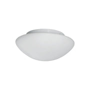 Searchlight - 1910-23 - Bathroom